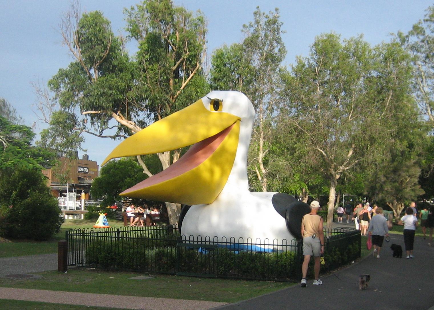 The Big Pelican